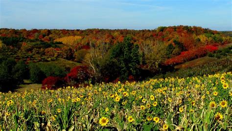 Check out Fall in Wisconsin on the Fall Color Report on TravelWisconsin ...