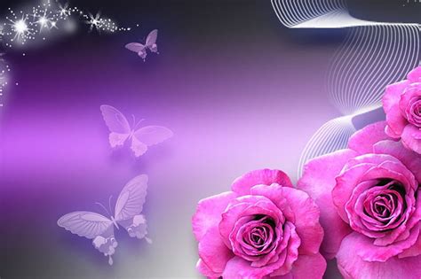 Roses butterfly, sparkle, butterfly, rose, HD wallpaper | Peakpx