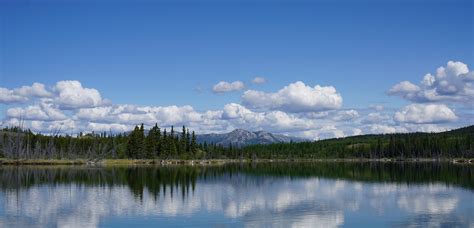 Self-Guided and Guided Kayak Tours | Yukon Wild