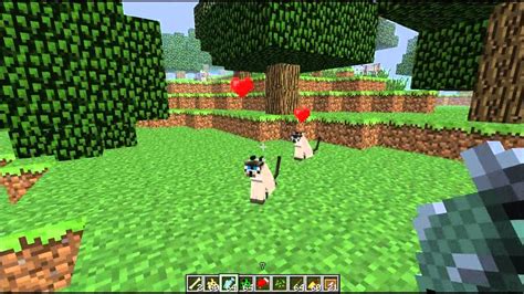 Minecraft XBLA - Ocelot (Cat) Taming Tutorial "Title Update 12 Info" - YouTube