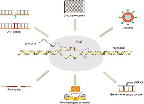 Crispr Cas 9 Poster