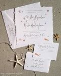 seashells-beach-wedding-invitations-2 - Custom Save the Dates, Unique Wedding Invitations ...