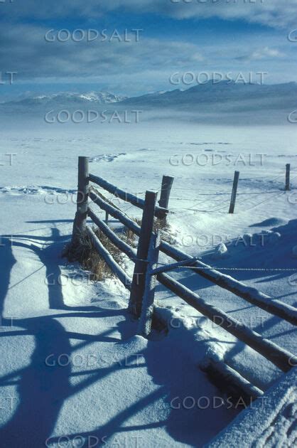 Winter Snow and Wooden Fence - GoodSalt