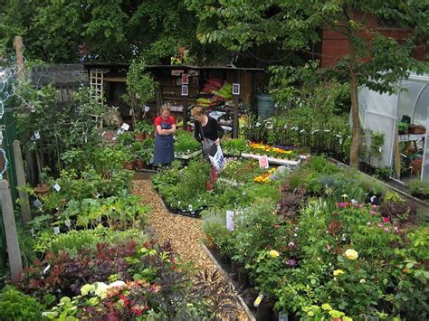 Top 8 garden centres in Greater Manchester and Cheshire - Manchester Evening News