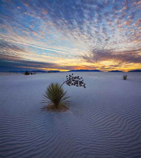 White Sands,New Mexico,sunset, photo | White sands new mexico, White ...