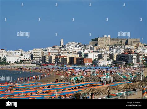 Vieste Puglia Italy Gargano Region Sandy beaches the town of Vieste ...