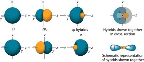 11.3: Hybridization of Atomic Orbitals - Chemistry LibreTexts