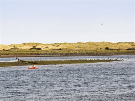 Kayaking on the River Coquet, Northumberland, UK Stock Image - Image of kayaking, seabirds ...