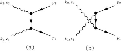 The Feynman diagrams for pure Dirac term contributions. | Download ...