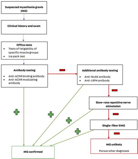 Diagnosis and Management of Myasthenia Gravis : CONTINUUM: Lifelong Learning in Neurology