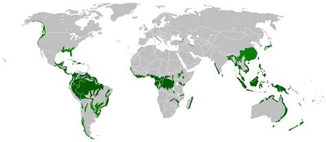 Map Showing Location Of Tropical Rainforests : rainforest | Distribution of Rainforests ...