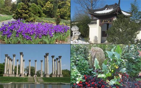 National Arboretum – DC Gardens