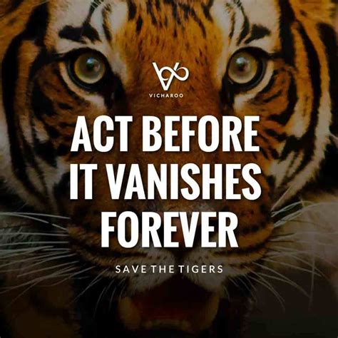 Act before it vanishes forever | Save Tigers Slogans and Quotes | International Tiger Day ...