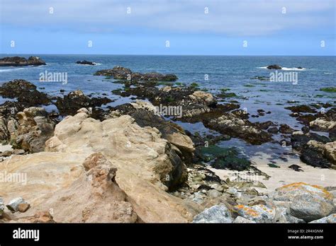 coast, Pacific Grove Marine Gardens, Monterey Bay National Marine Sanctuary, Monterey Bay ...