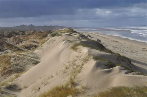 Unforgettable Experiences: Oregon Dunes National Recreation Area - National Forest Foundation