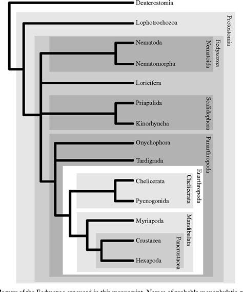 Figure 1 from The evolution of the Ecdysozoa | Semantic Scholar