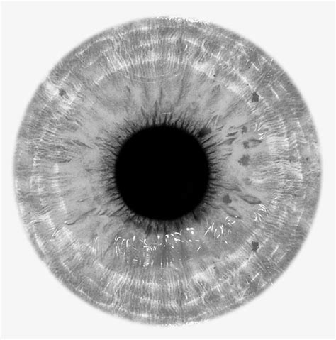 Eyes PNG Images, Eye, Eyeball PNG Transparent Background - Pngtree ...