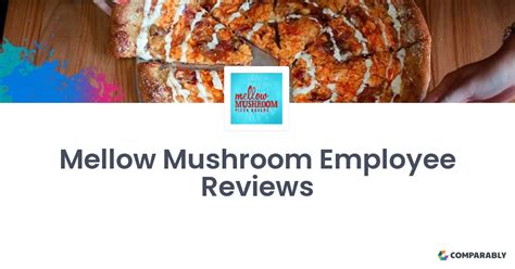 Mellow Mushroom Employee Reviews | Comparably