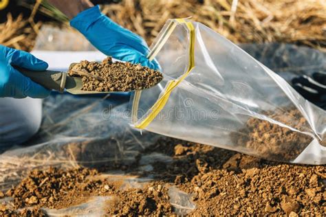 Soil Testing. Agronomy Inspector Taking Soil Sample Stock Photo - Image ...