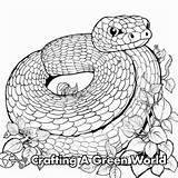 Snake Coloring Pages  Free & Printable sketch template