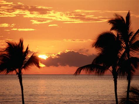 Maui Sunset Wallpapers - Top Free Maui Sunset Backgrounds - WallpaperAccess