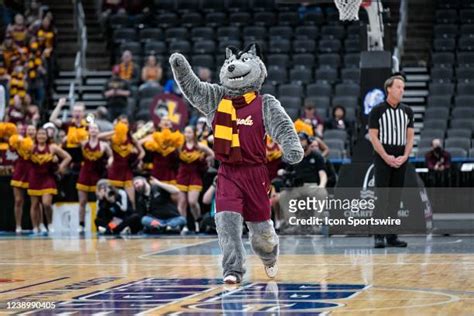 Loyola Chicago Mascot Photos and Premium High Res Pictures - Getty Images