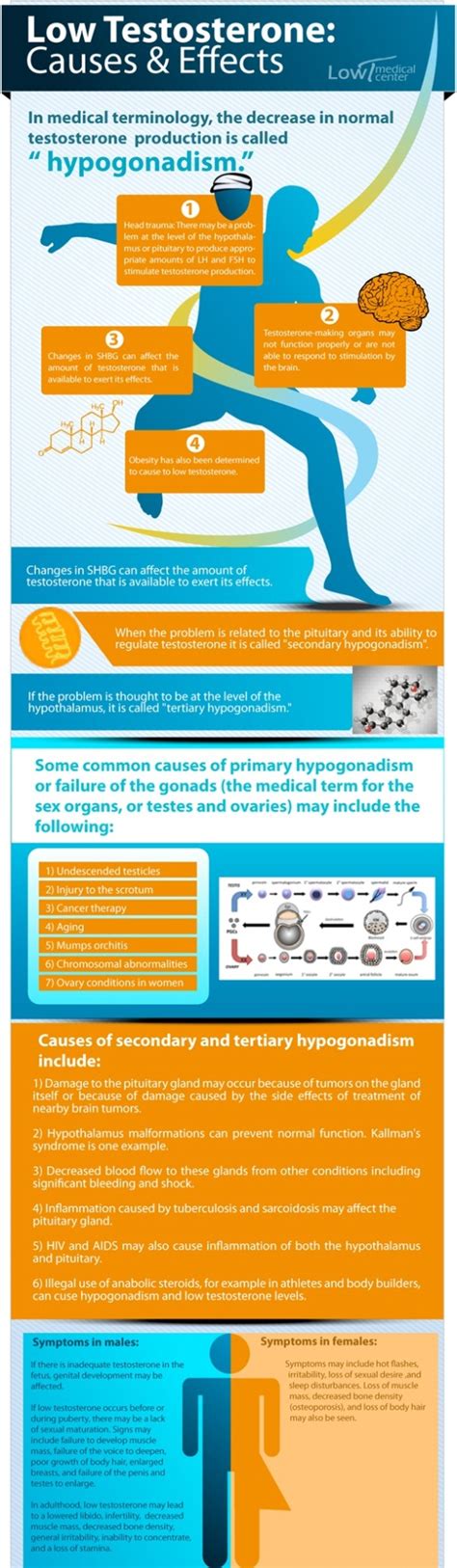 Low Testosterone Causes and Effects (Infographic)