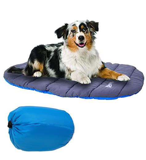 10 Best Folding Dog Bed Options for Camping and Travel - Hey, Djangles.