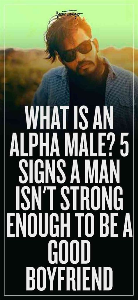 Here are the 5 indicators that a man is not an Alpha Male Alpha Male Quotes, Alpha Male Romance ...