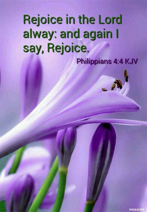 50 best Philippians KJV images on Pinterest | Bible quotes, Bible ...