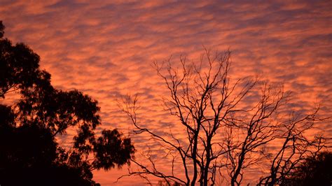 Amazing Altocumulus Cloud natural sunset color In Sydney Australia by lonewolf6738