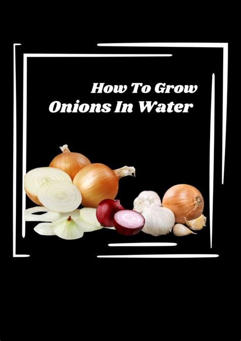 How To Grow Onions In Water: Dead or Alive? - Revive Garden