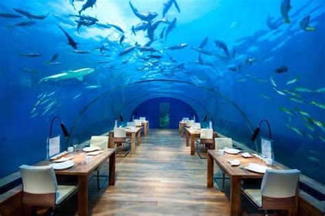 Visit Maldives - Experiences > Underwater Experiences in Maldives