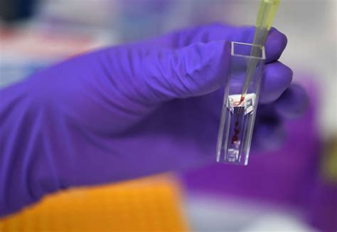 Gene Therapy: New Technology Can Rewrite Genetic Codes, Successfully Repairs Hereditary Disease ...