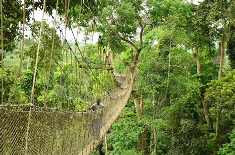 Kakum National Park, Ghana, Africa