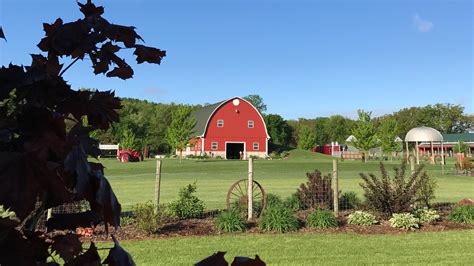 Hayrides — Busy Barn Farm Adventures