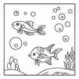 Fish Pond Coloring Page sketch template