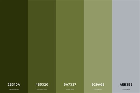 35+ Best Green Color Palettes with Names and Hex Codes – CreativeBooster