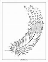 115  Feather Coloring Pages For Kids & Adults Free Printable PDFs sketch template