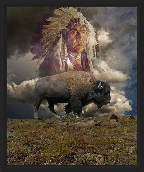 Pin by Diny Kniest on Native american 1 | Animals beautiful, Animals wild, Buffalo animal