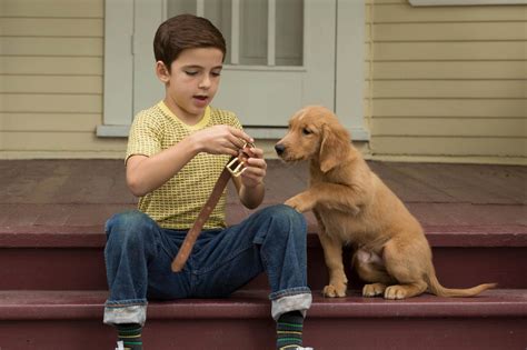 Genuine and heartfelt, 'A Dog’s Purpose' reminds why we love our furry friends. - CLTure