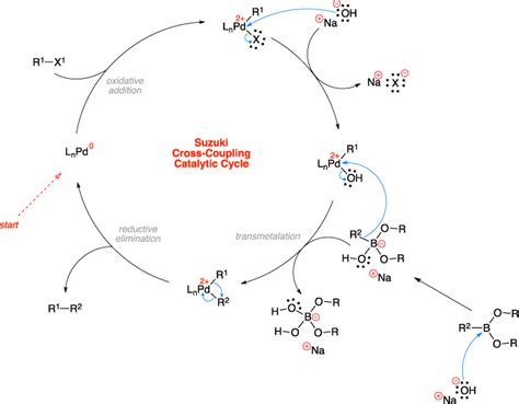 Suzuki cross-coupling ~ Name-Reaction.com