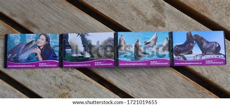 Dolphin Show Dubai Tickets: Over 1 Royalty-Free Licensable Stock Photos | Shutterstock