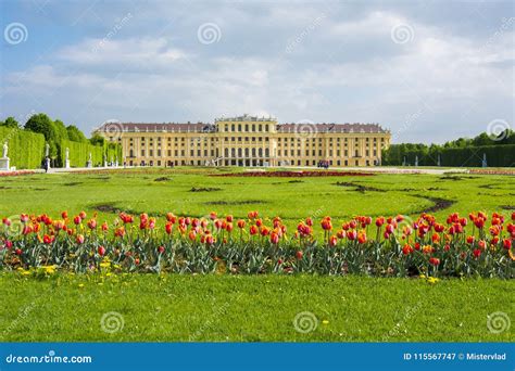 Spring Tulips in Schonbrunn Gardens, Vienna, Austria Editorial Photography - Image of austria ...