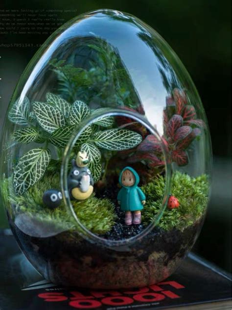 Terrarium glass bottle, Furniture & Home Living, Gardening, Pots ...