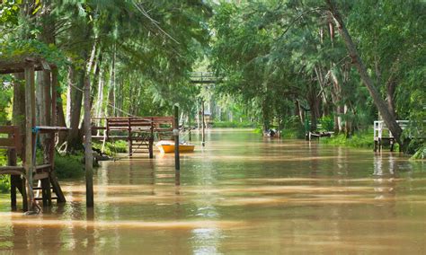 Barbecue joints and a boho vibe in the Tigre delta, Argentina | Travel | The Guardian