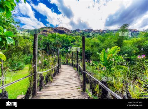 Garden sleeping giant fiji hi-res stock photography and images - Alamy