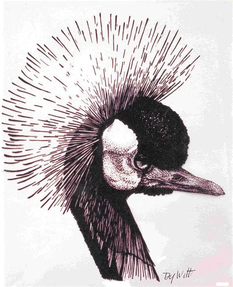 Crested Crane Drawing by Dy Witt - Fine Art America