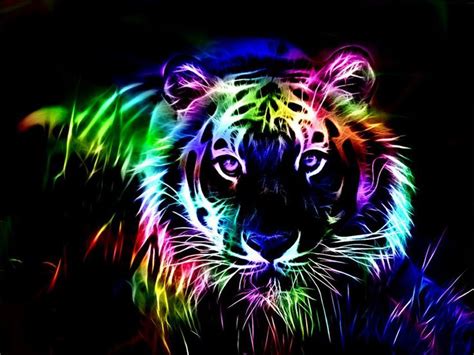 Neon Big Cat - Bright Colors Photo (40253702) - Fanpop