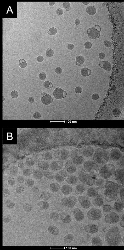 Cryo-TEM images of LNPs produced by the 3D-printed microfluidic device... | Download Scientific ...